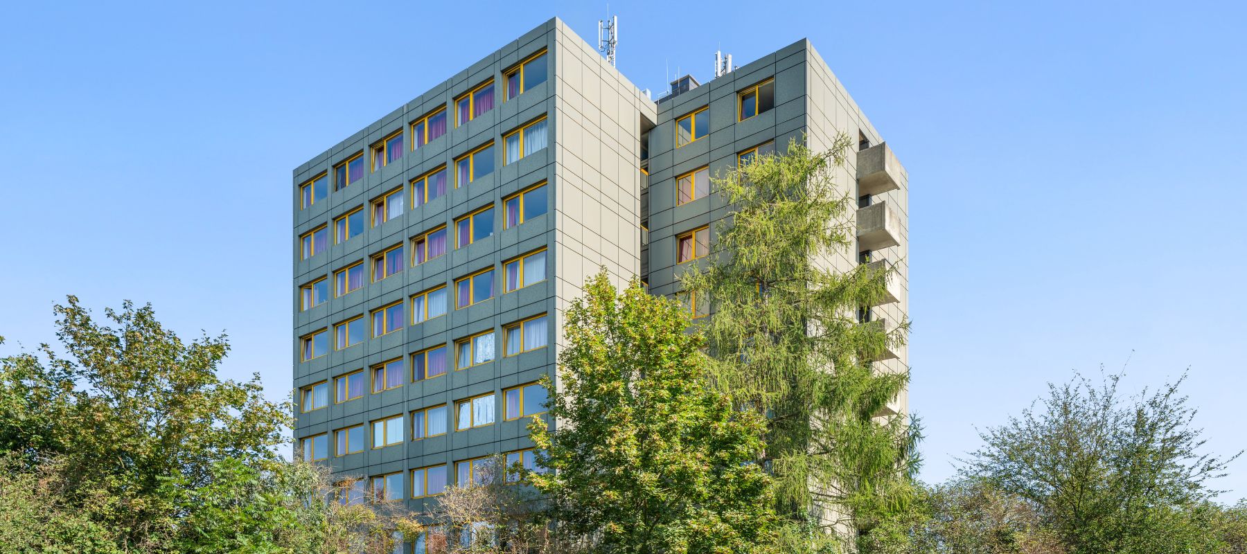 Außenansicht des Wohnheims. Gezeigt wird das obere Ende des Wohnturms hinter Baumwipfeln im Sommer.